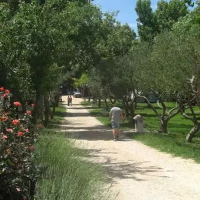 Camping Kroatien Norddalmatien